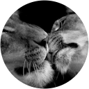 Mike&Peg Pow. Mike&Peg Pow.