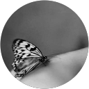 Valy Guille Valy Guille