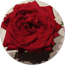 Michele Moulin Michele Moulin